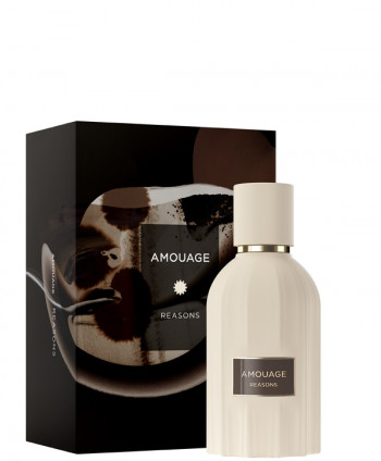 Reasons (100ml)