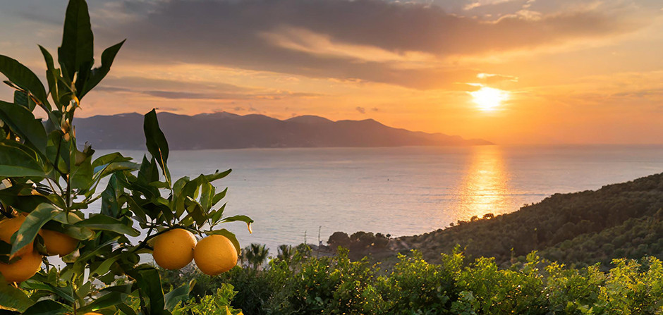 I Profumi Gourmand da provare per indossare l’estate